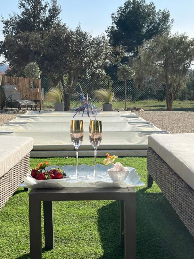 Vue idyllique du jardin de la maison d'hôte l'Amanderaie avec un style du luberon et deux coupes de champagnes au premier plan